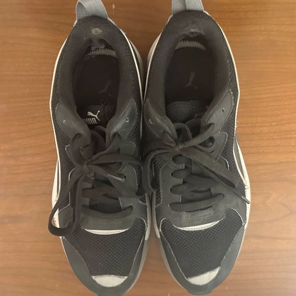 Puma pumax ray